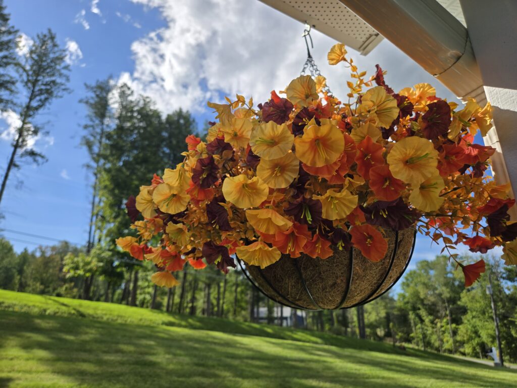 Artificial hanging baskets for autumn