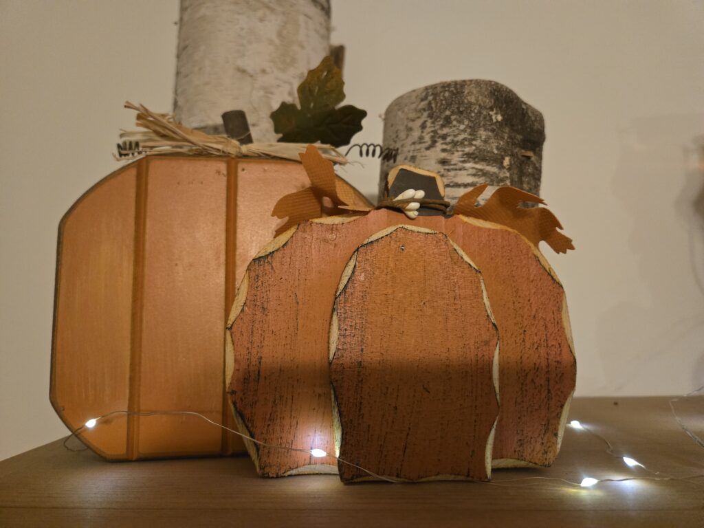 Rechargeable fairy lights set up and lit up in a dark room with a decorated shelf