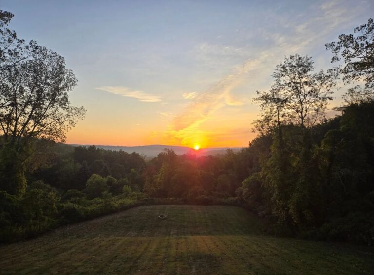 Sunrise, Sip & Shop: This Week's Best Deals Under $20